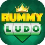 Ludo Rummy Game